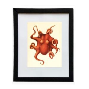 Octopus 8x10 Framed Print